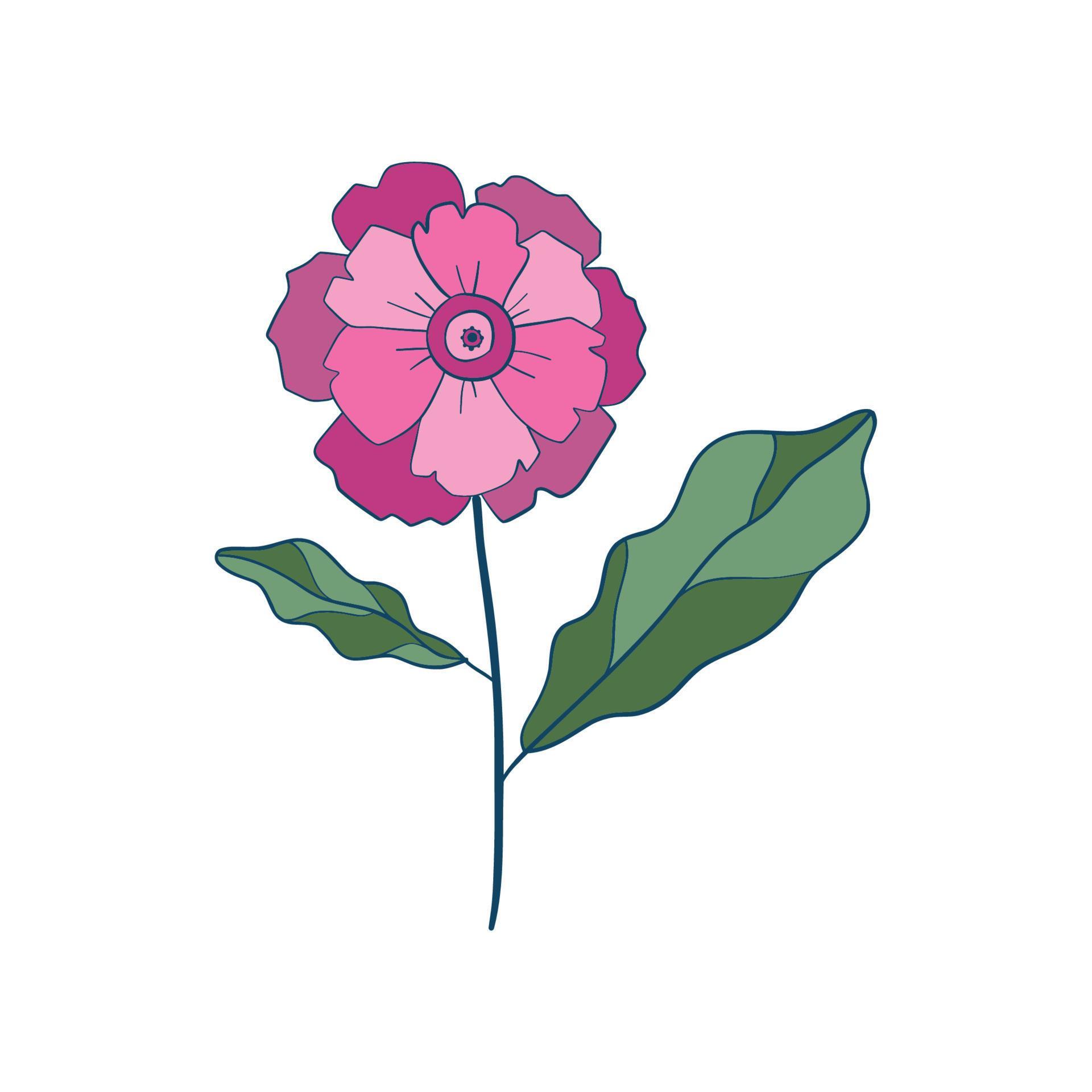 Wild flower. Floral herbal plants with blue flowers. Delicate field and