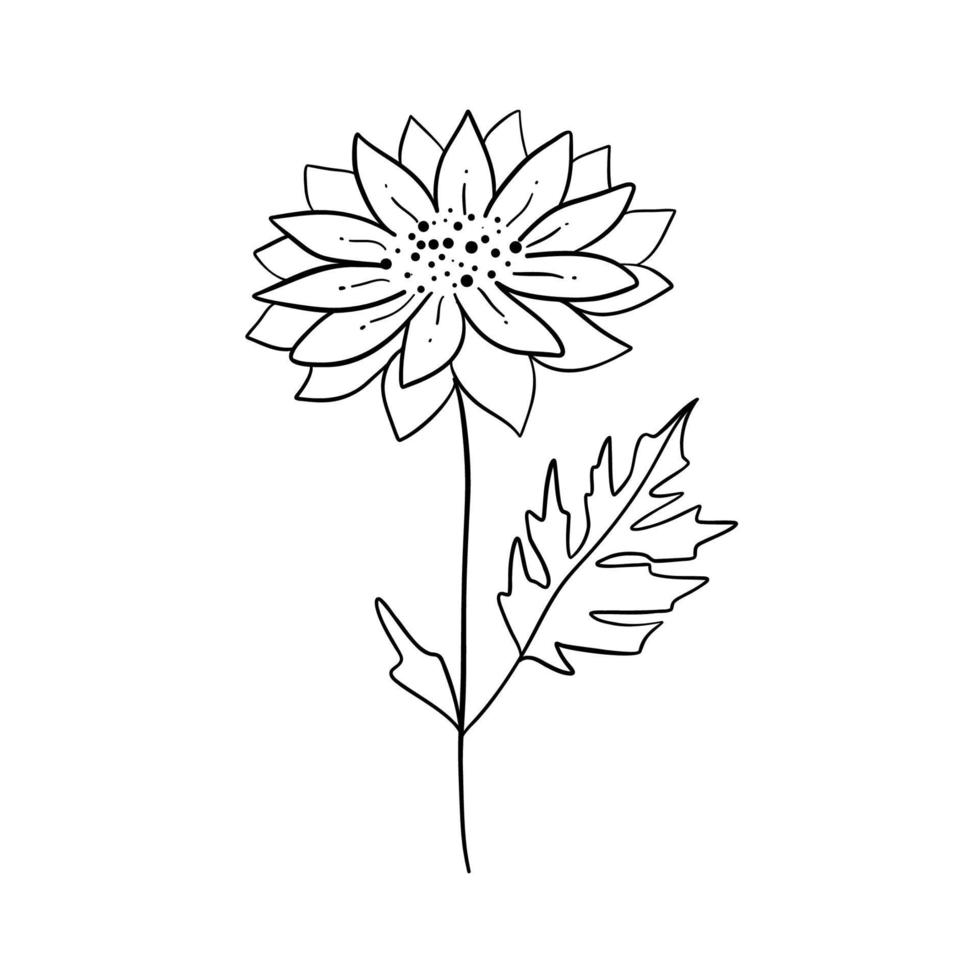 siluetas negras de hierba, flores y hierbas aisladas sobre fondo blanco. boceto dibujado a mano flores e insectos. vector