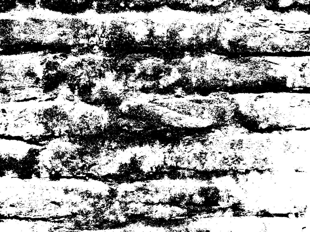 Texture, brick, wall background. brick texture vector