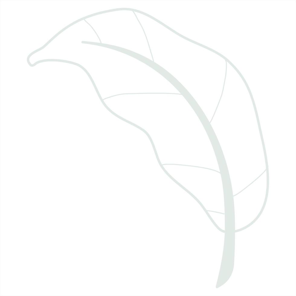 Line art leaf vector