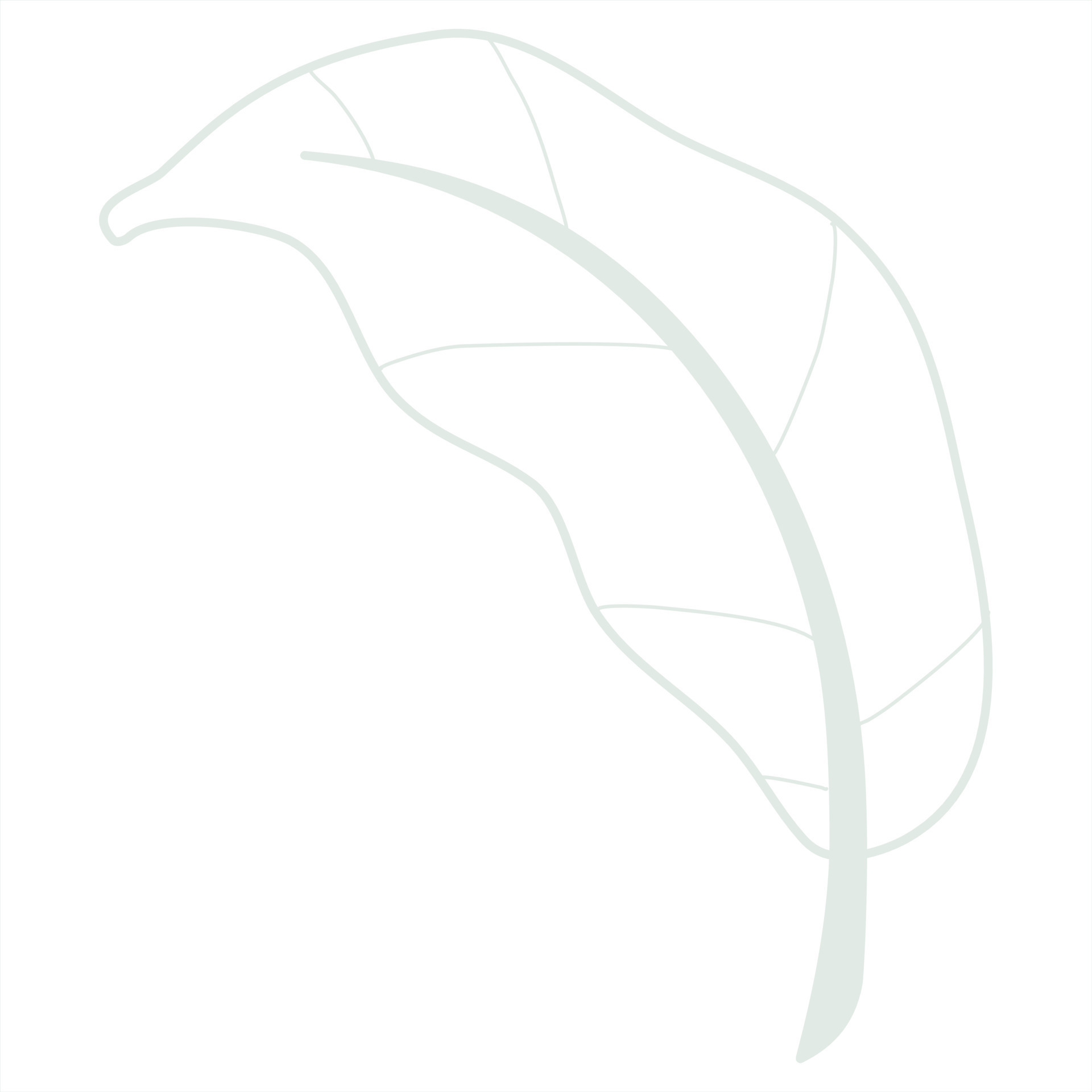 Line art leaf 23119242 Vector Art at Vecteezy