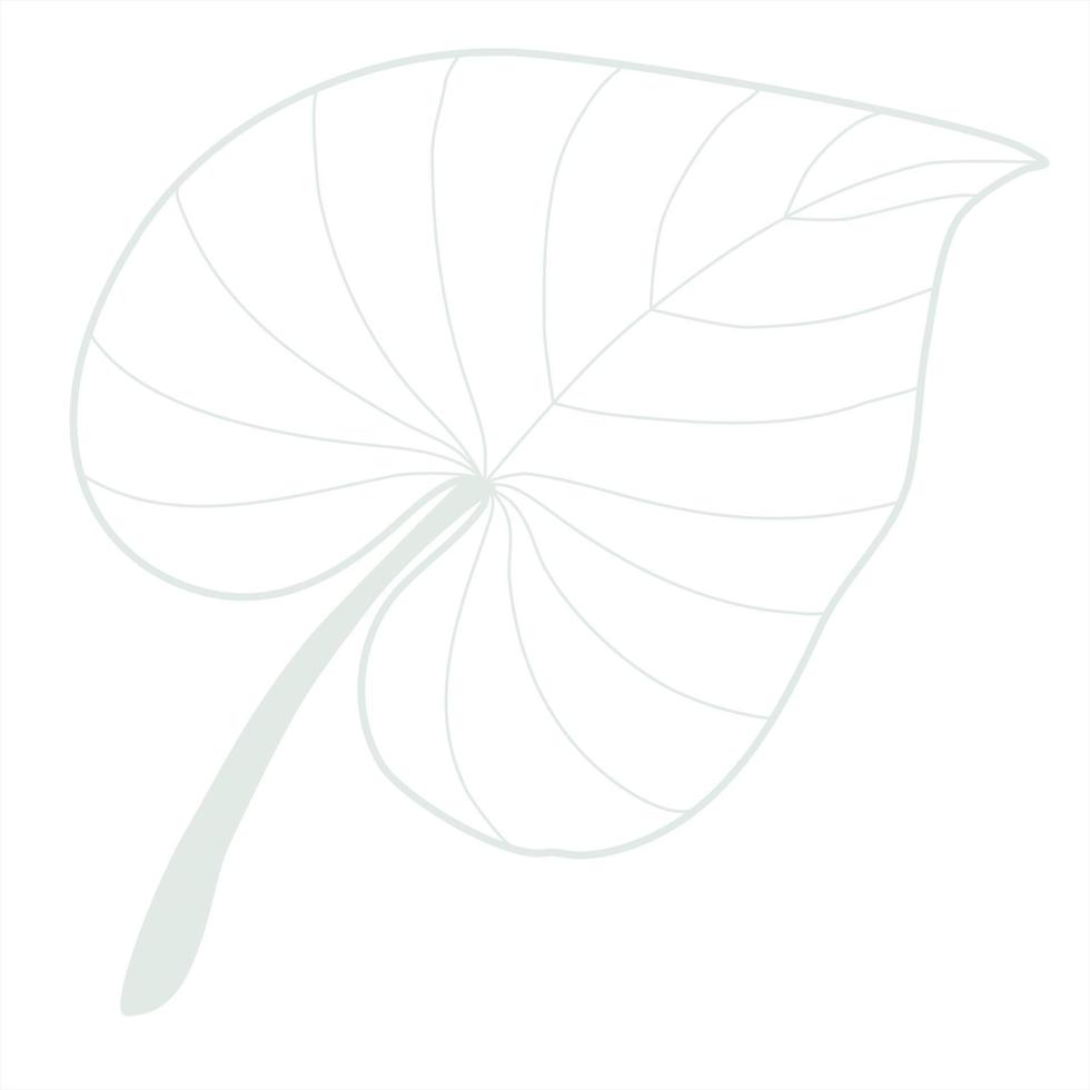 Line art leaf vector