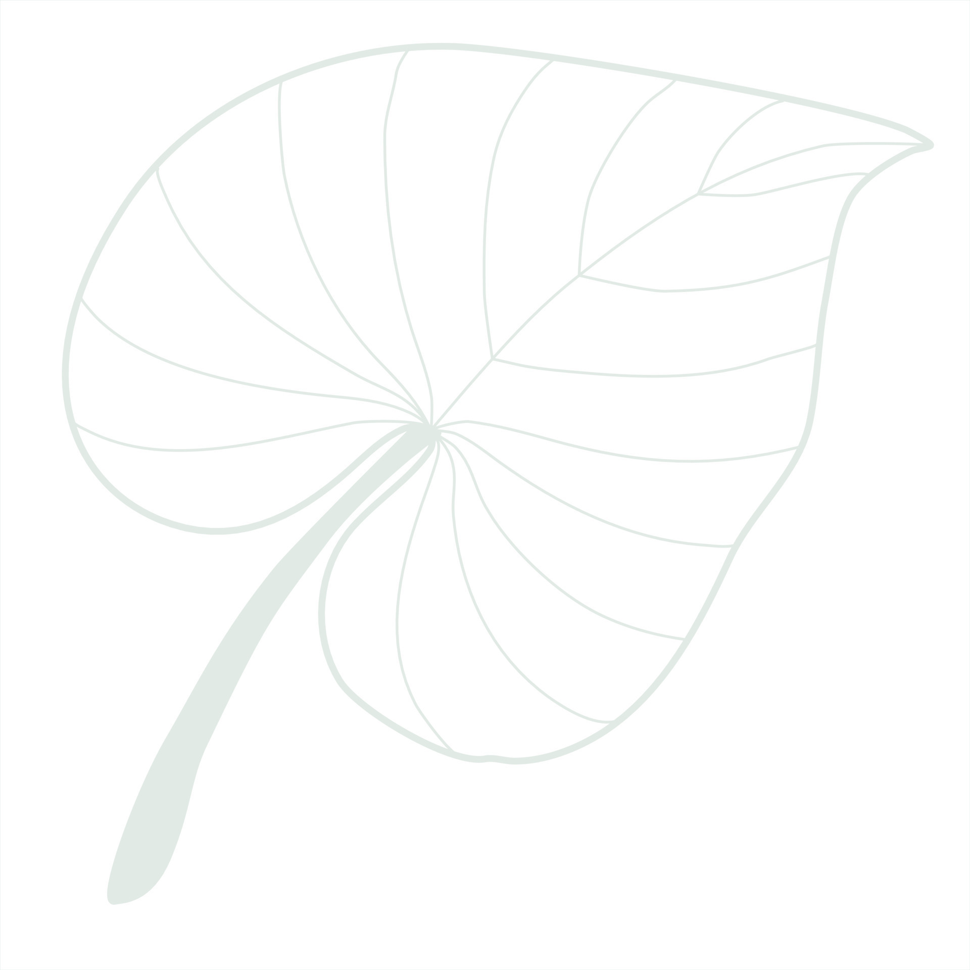 Line art leaf 23119244 Vector Art at Vecteezy