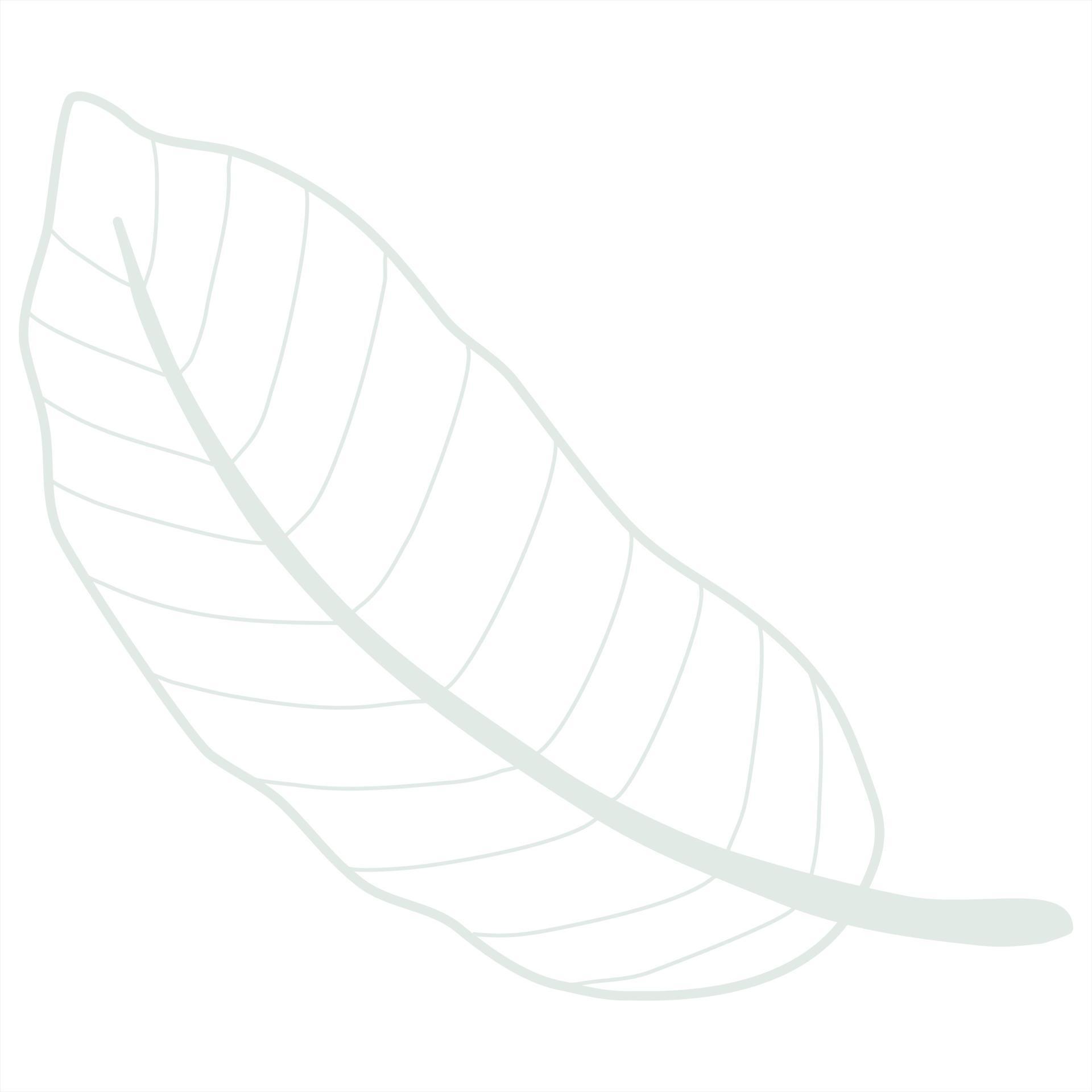 Line art leaf 23119245 Vector Art at Vecteezy
