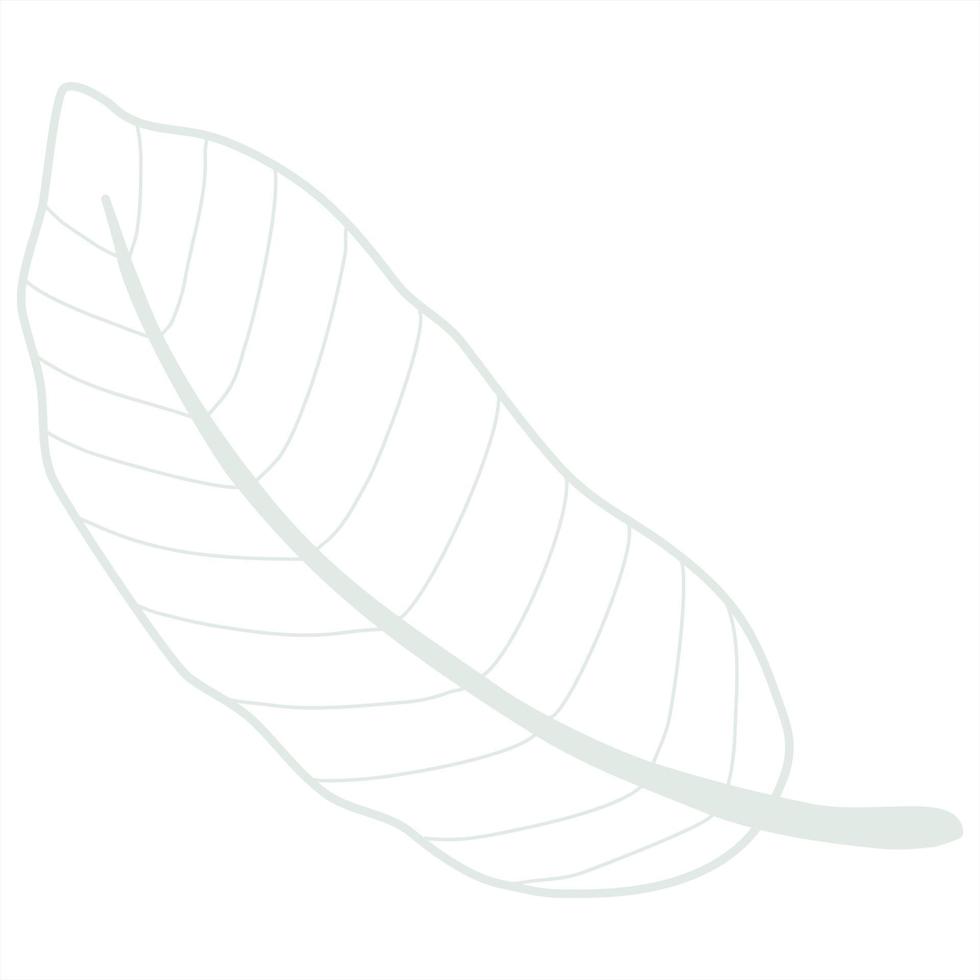 Line art leaf vector