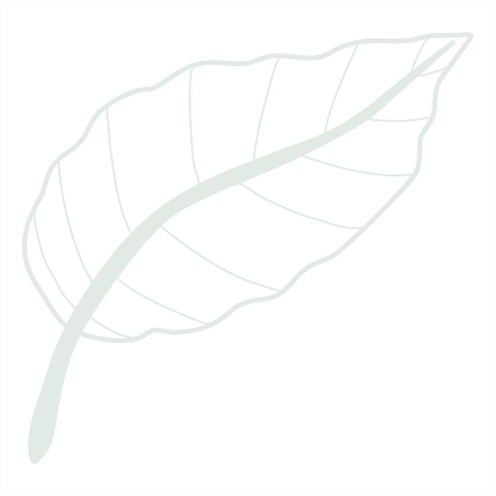 Line art leaf 23119246 Vector Art at Vecteezy