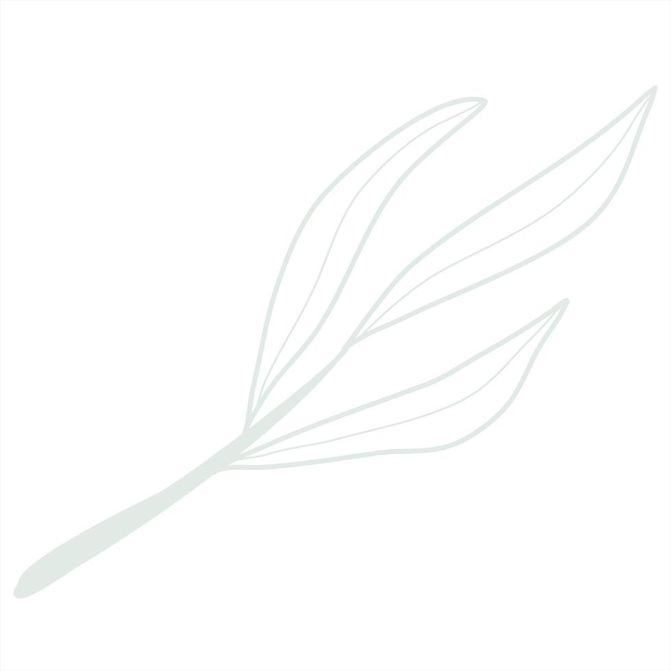 Line art leaf vector