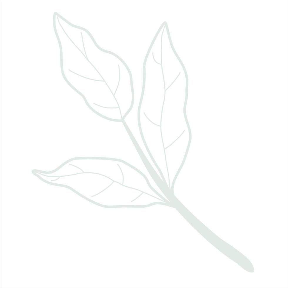 Line art leaf vector