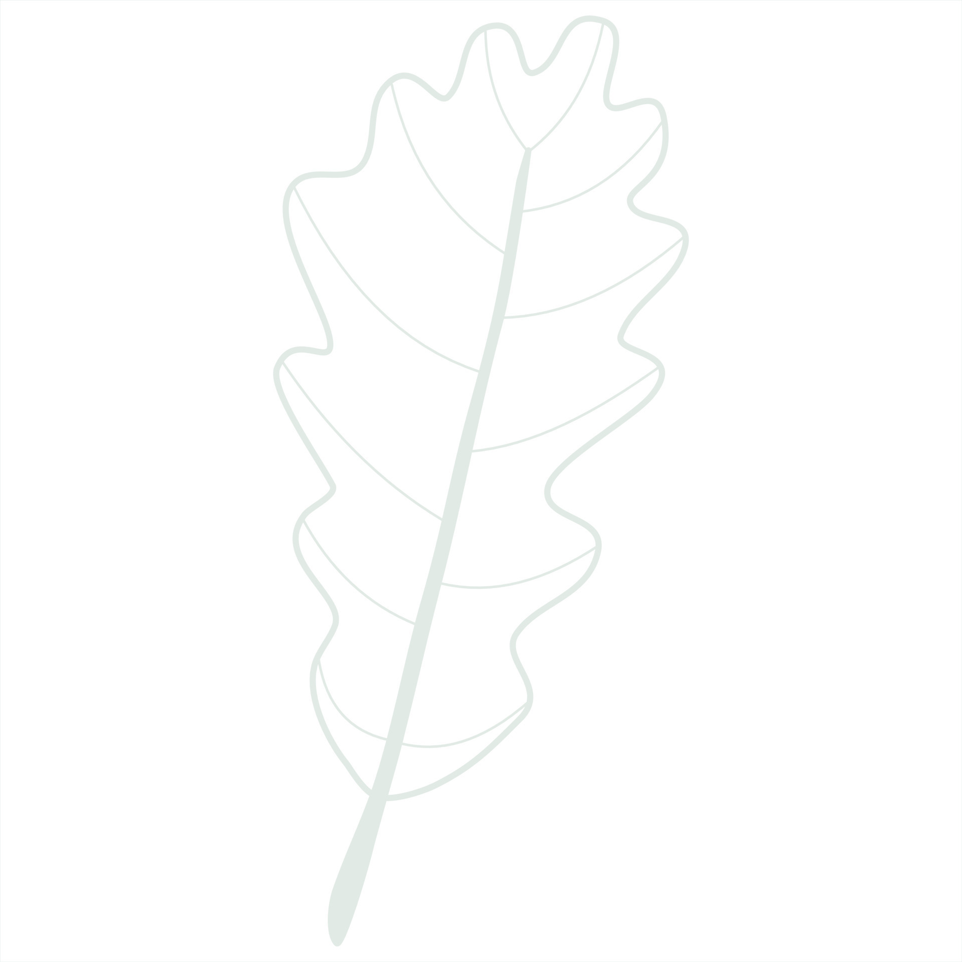 Line art leaf 23119257 Vector Art at Vecteezy
