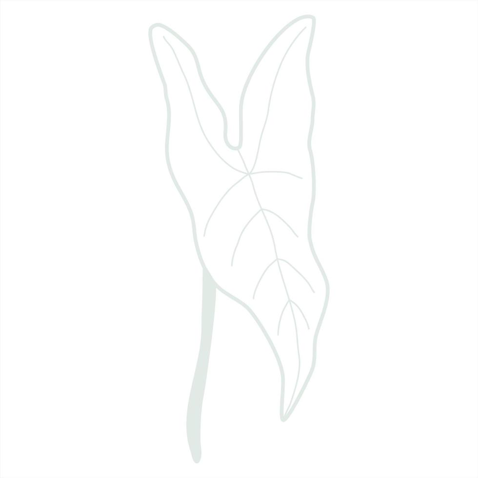 Line art leaf vector