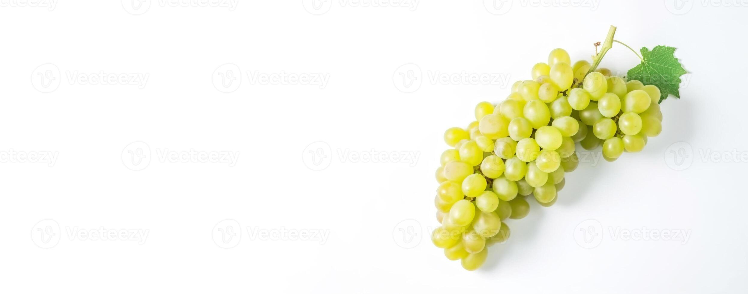 Vine of fresh green Muscat grapes, isolate on white background. Sprig of organic natural food. . photo