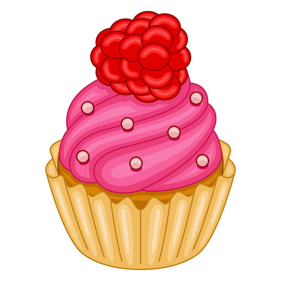 Raspberry Cupcake in vector illustration