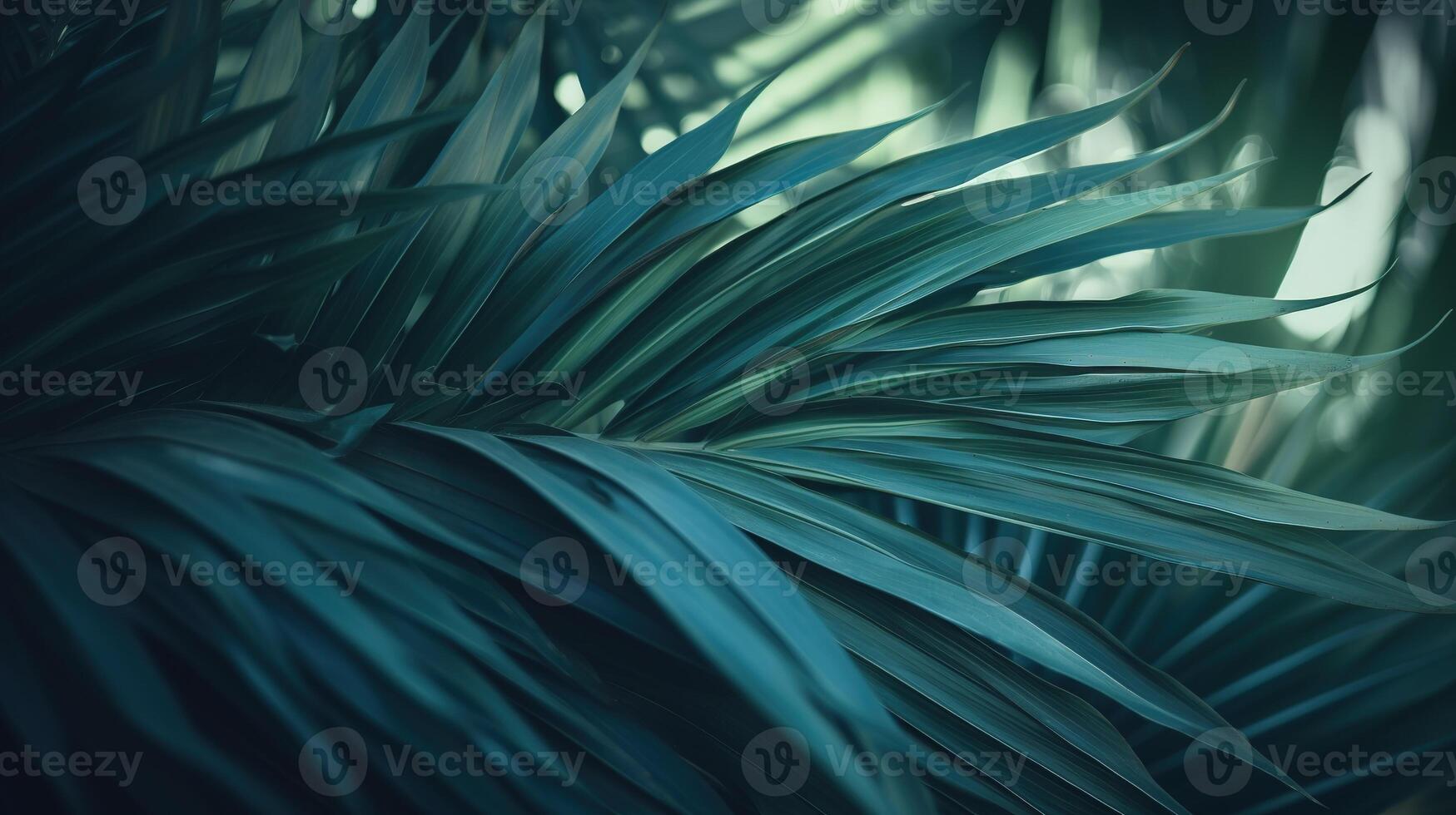 Palms in Detail, A Close-up of Lush Green Foliage. photo