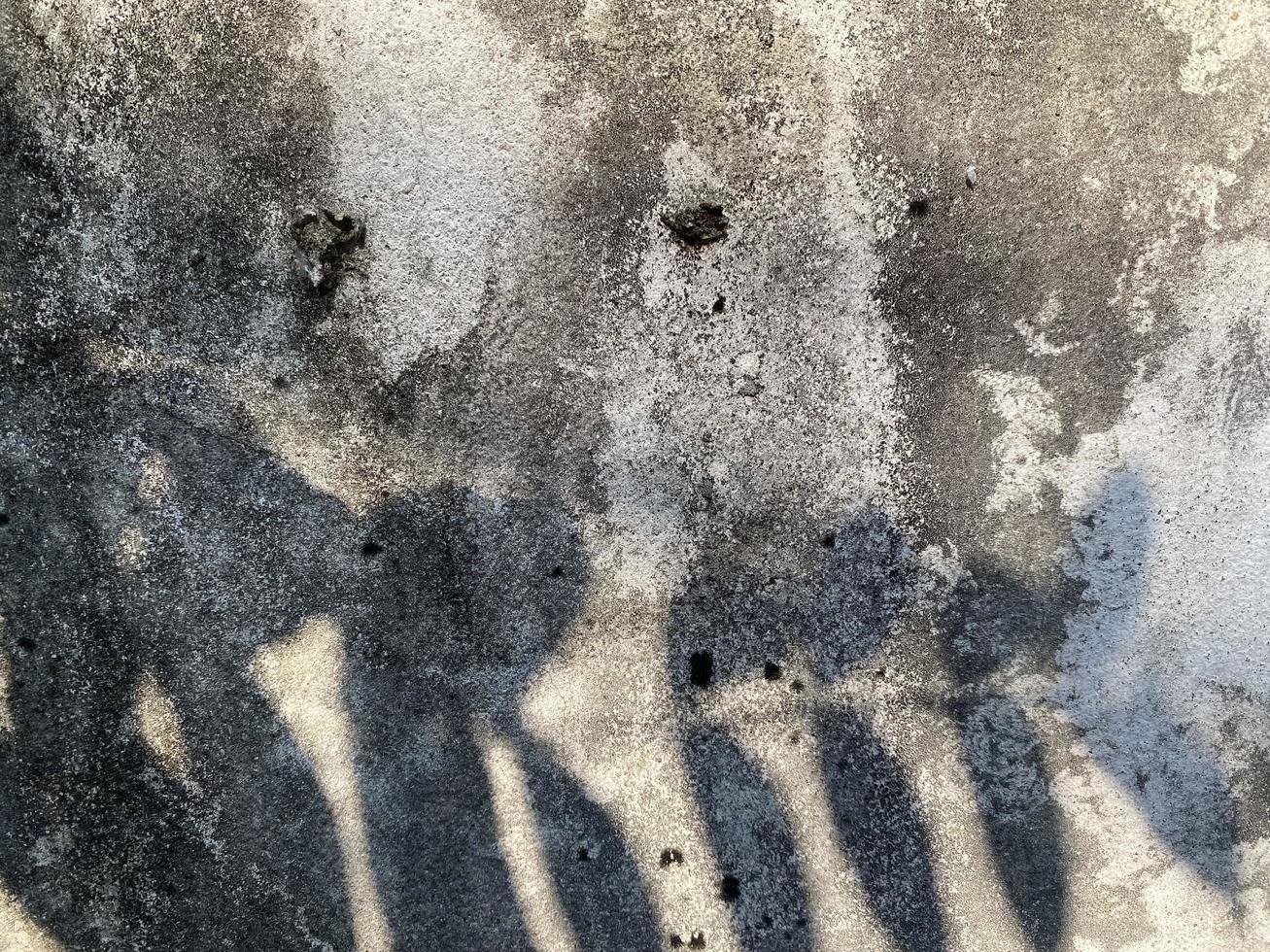Leaves shadow background on concrete wall texture, leaves tree branches shade with sunlight photo