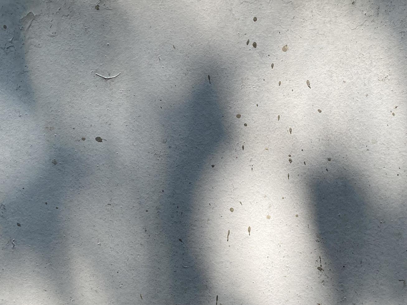 Leaves shadow background on concrete wall texture, leaves tree branches shade with sunlight photo