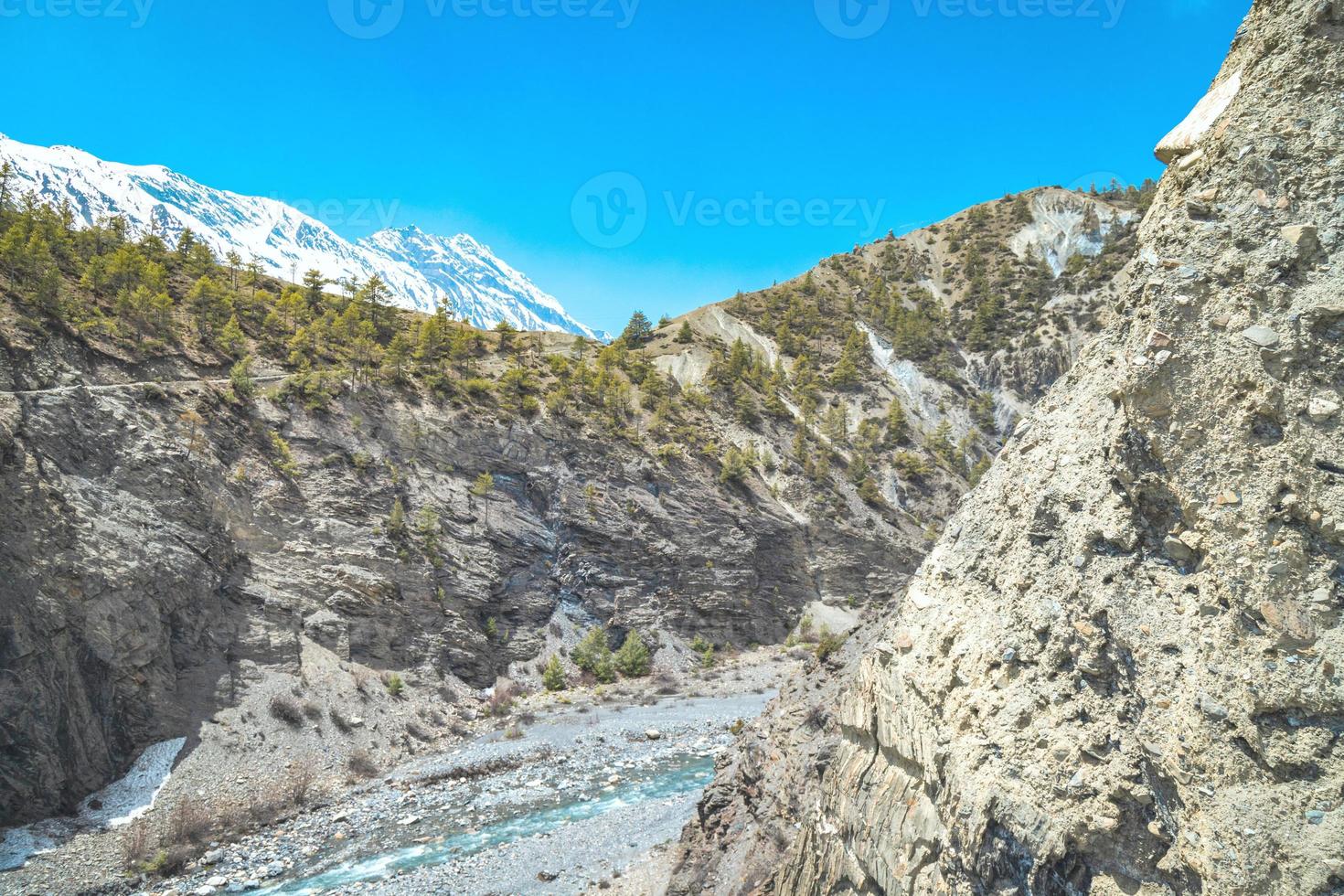 green forest and white Himalaya photo