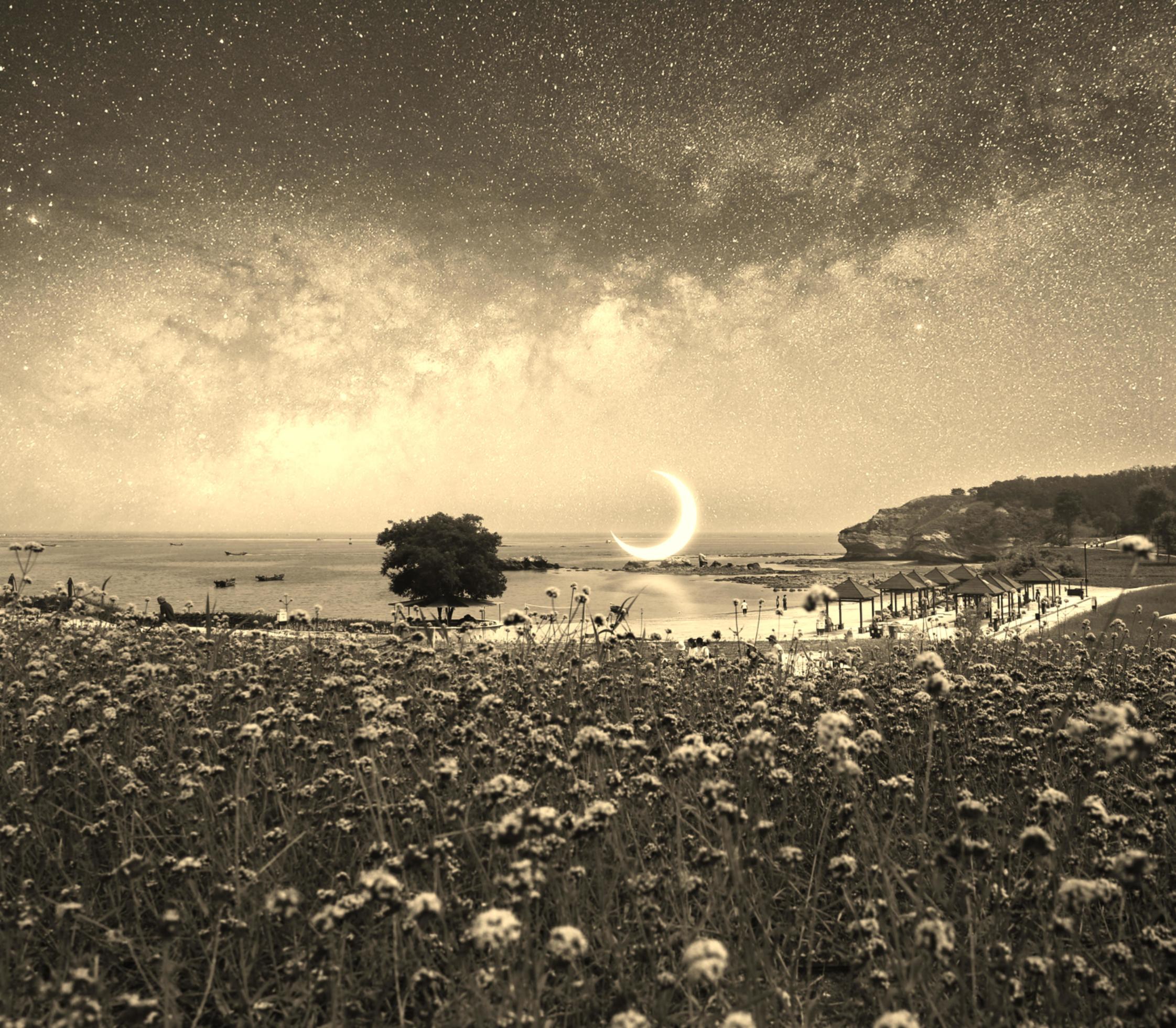 aesthetic nature background 23122088 Stock Photo at Vecteezy