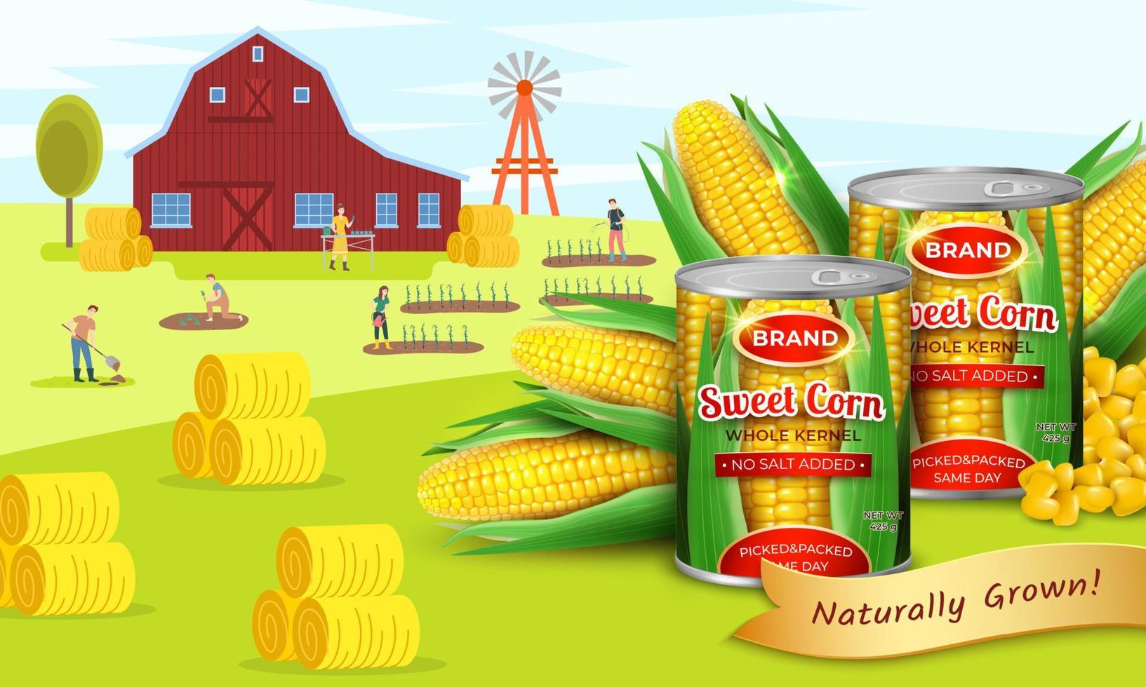 Realistic Detailed 3d Organic Canned Corn Ads Banner Concept Poster Card. Vector