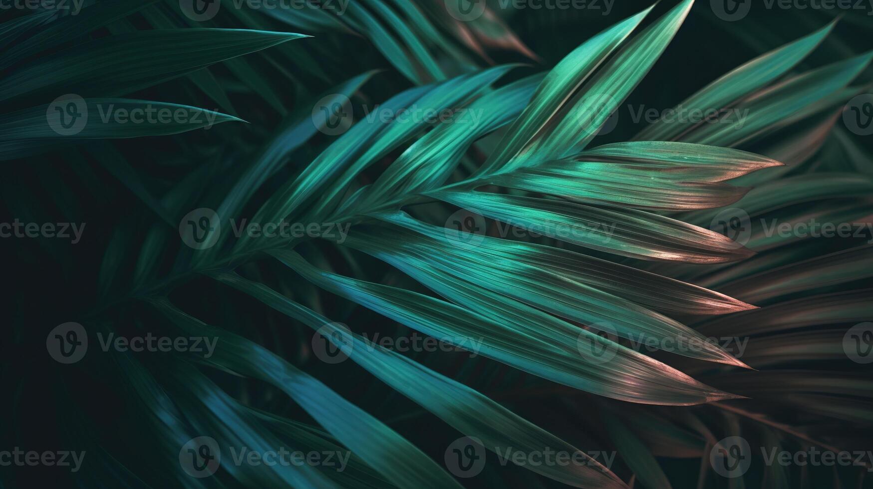 Palms in Detail, A Close-up of Lush Green Foliage. photo