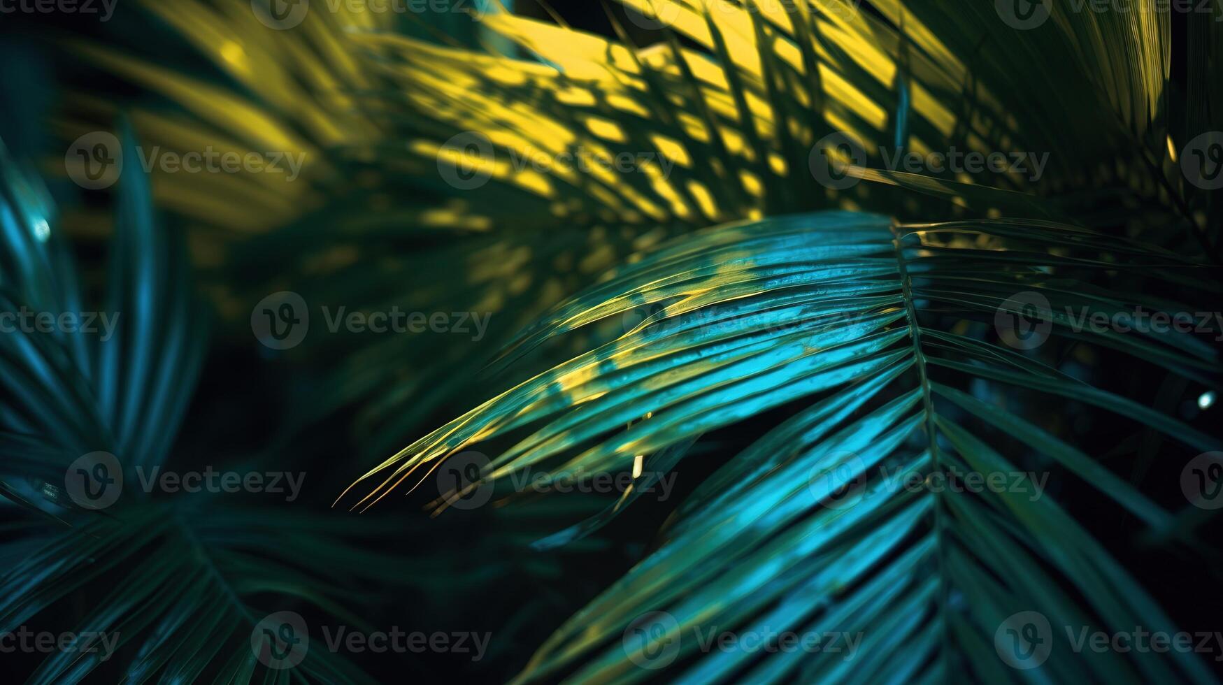 Palms in Detail, A Close-up of Lush Green Foliage. photo