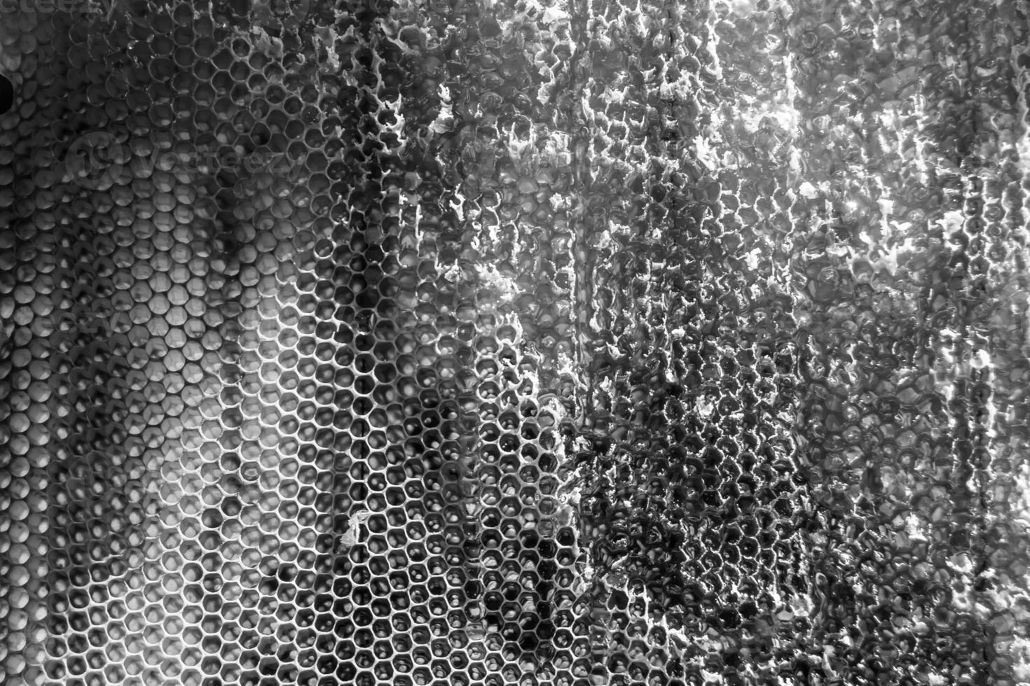 Drop of bee honey drip from hexagonal honeycombs filled with golden nectar photo