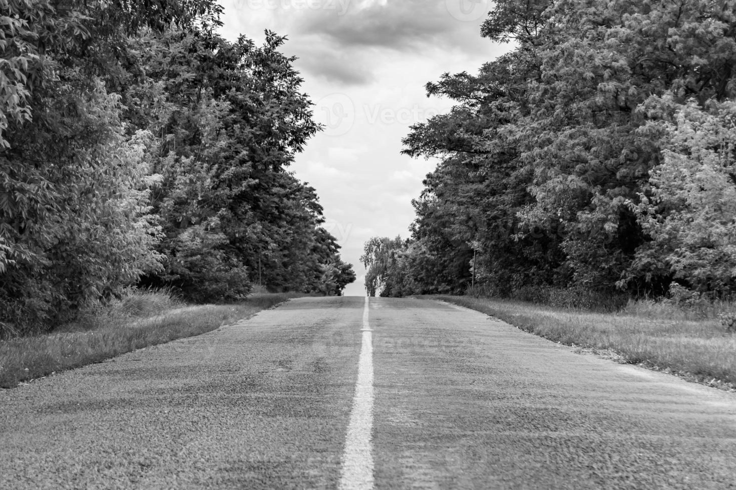 Beautiful empty asphalt road in countryside on light background photo