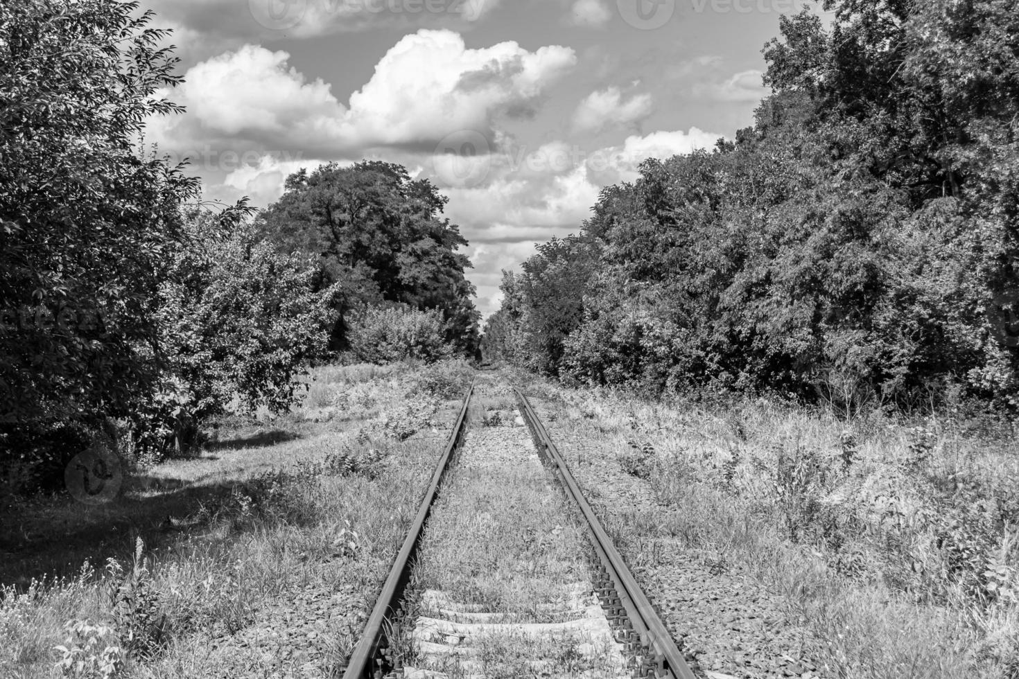 fotografía al tema de la vía férrea después de pasar el tren en el ferrocarril foto