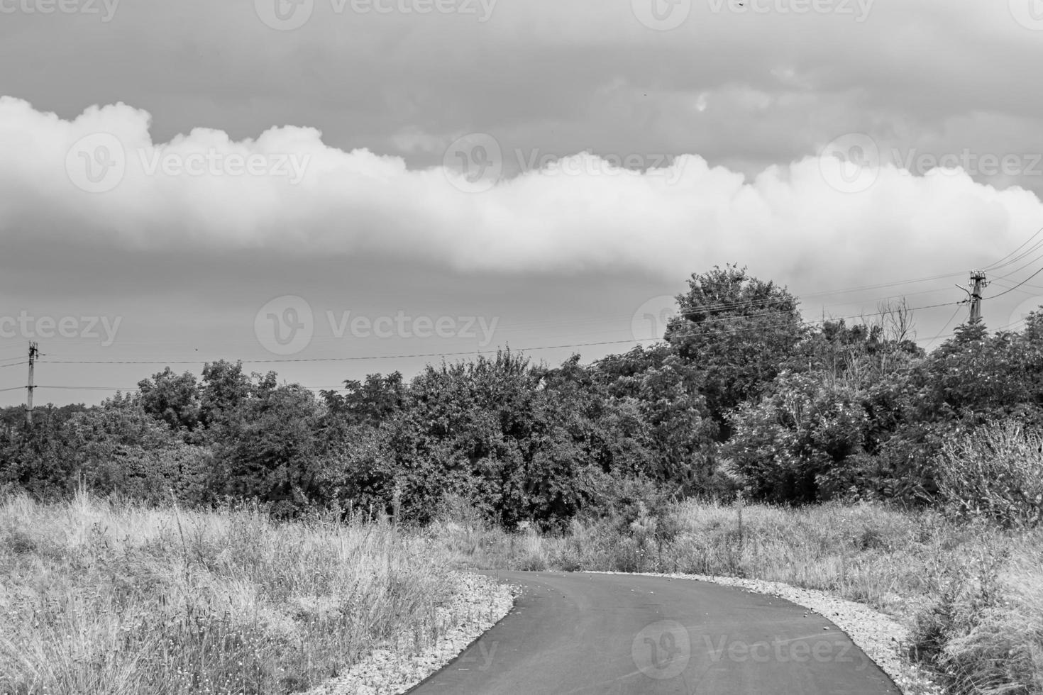 Beautiful empty asphalt road in countryside on light background photo