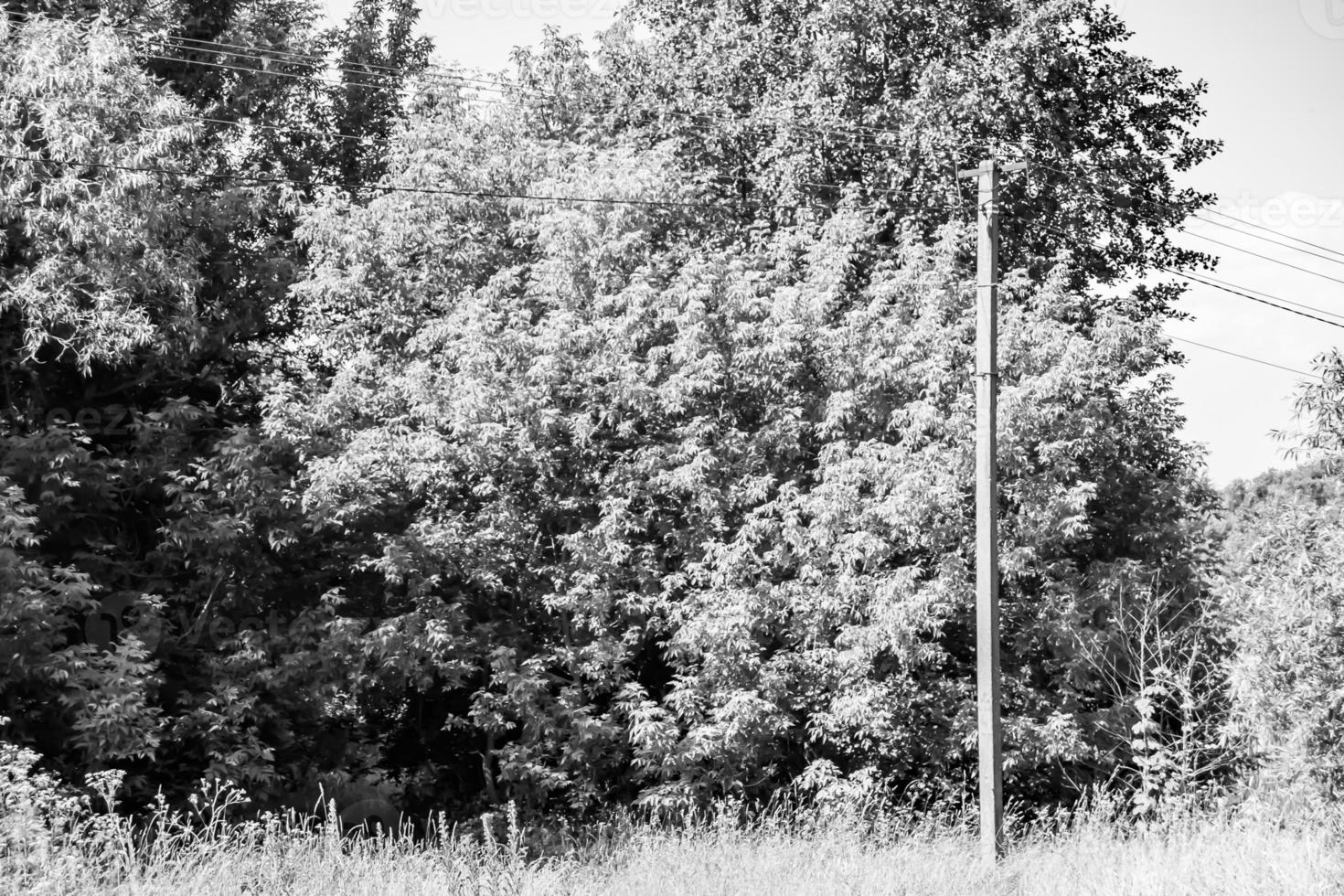 Power electric pole with line wire on light background close up photo