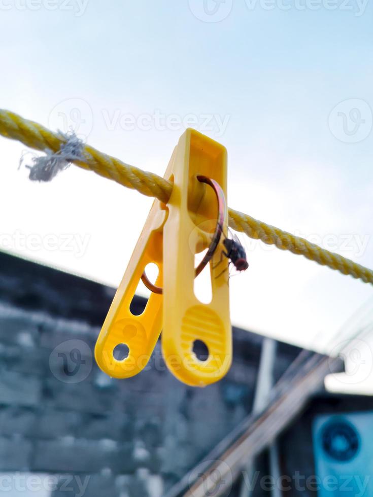 Flies hanging on a clothespin on a string. Blurred and bokeh background photo