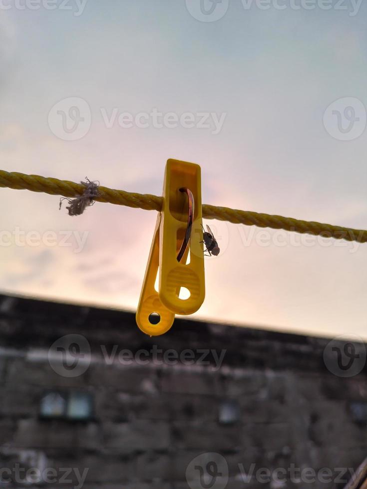 Flies hanging on a clothespin on a string. Blurred and bokeh background photo