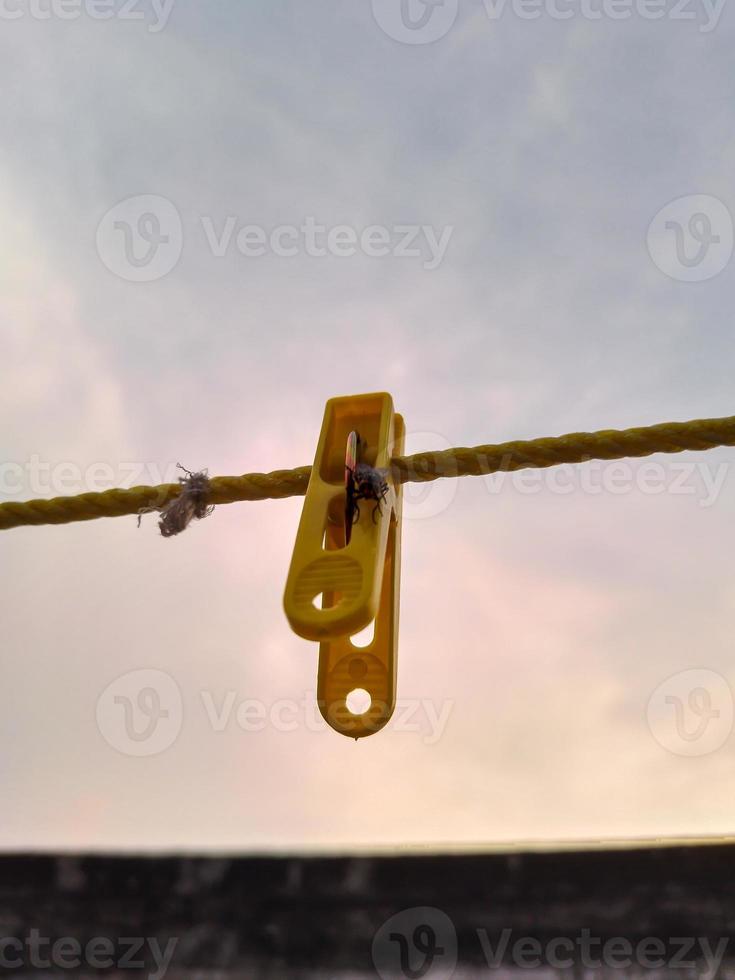 Flies hanging on a clothespin on a string. Blurred and bokeh background photo