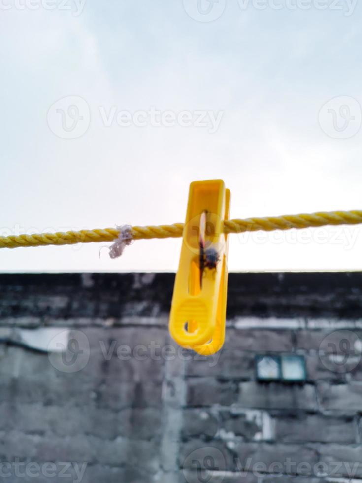 Flies hanging on a clothespin on a string. Blurred and bokeh background photo