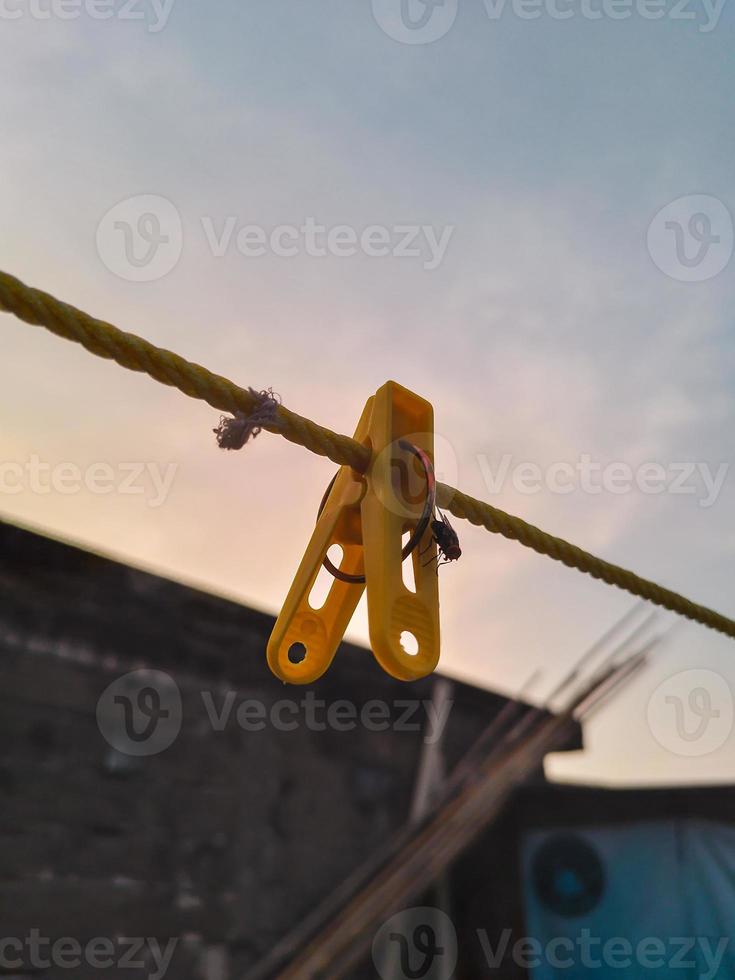 Flies hanging on a clothespin on a string. Blurred and bokeh background photo