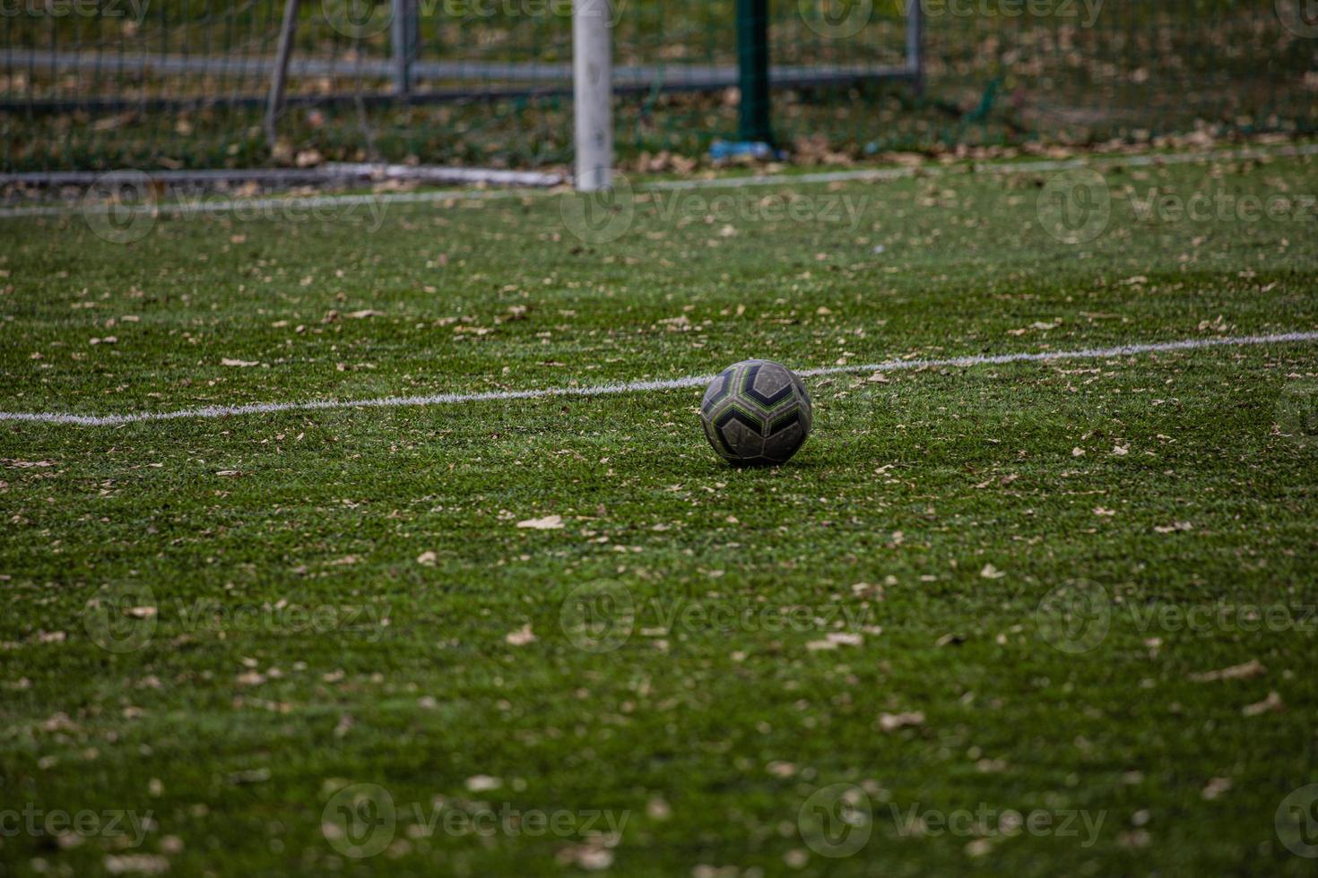 football lying on green artificial turf with autumn leaves photo