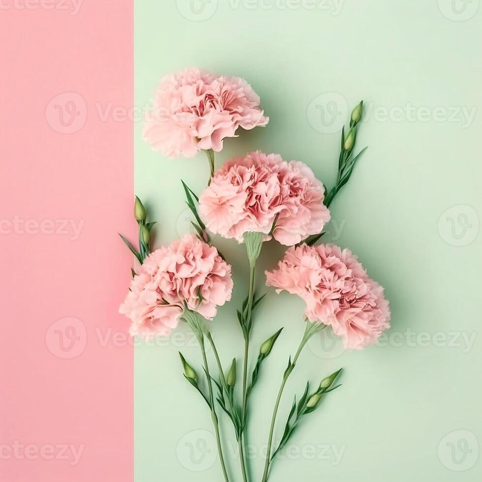 pink carnation flowers. Mother's day, Valentine's Day background concept. . photo