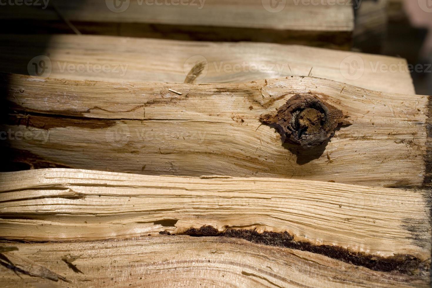 wood background natural photo
