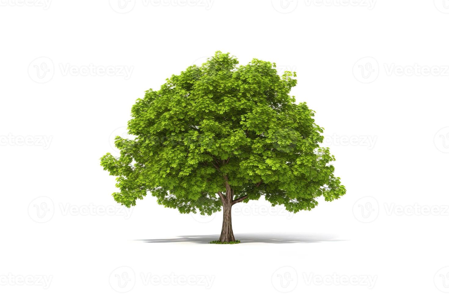 verde árbol aislado en blanco antecedentes. ai generado foto