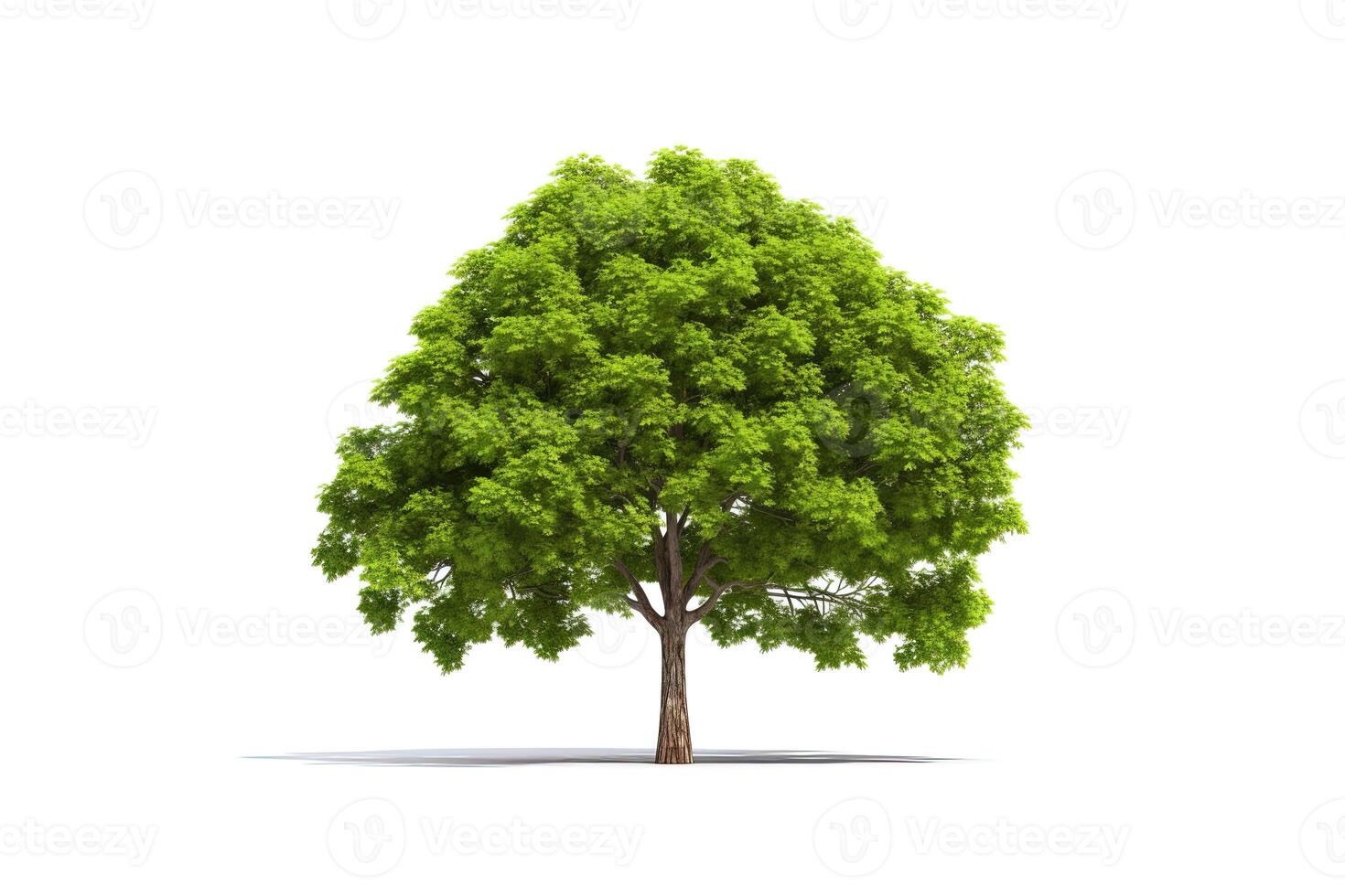 verde árbol aislado en blanco antecedentes. ai generado foto