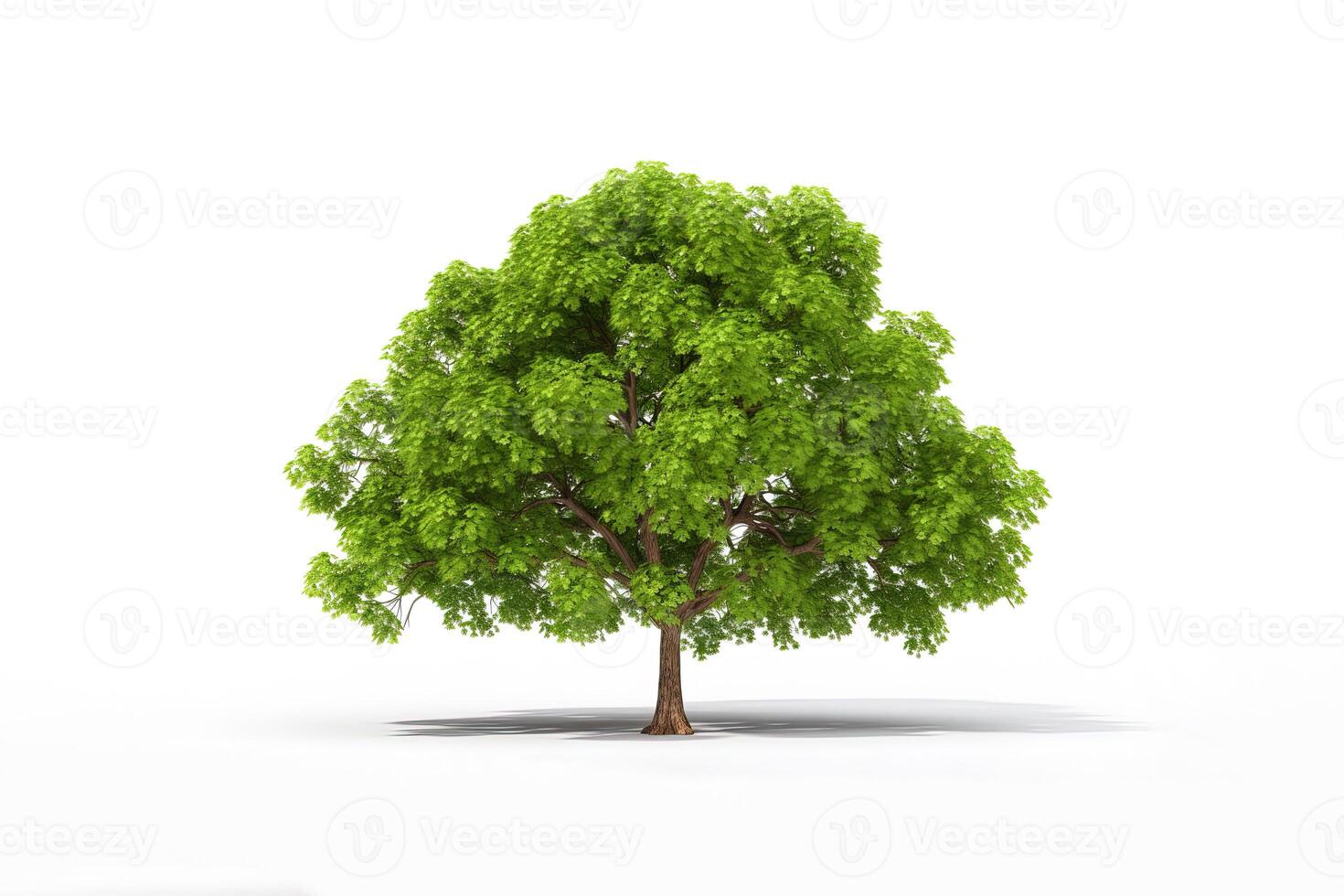 verde árbol aislado en blanco antecedentes. ai generado foto