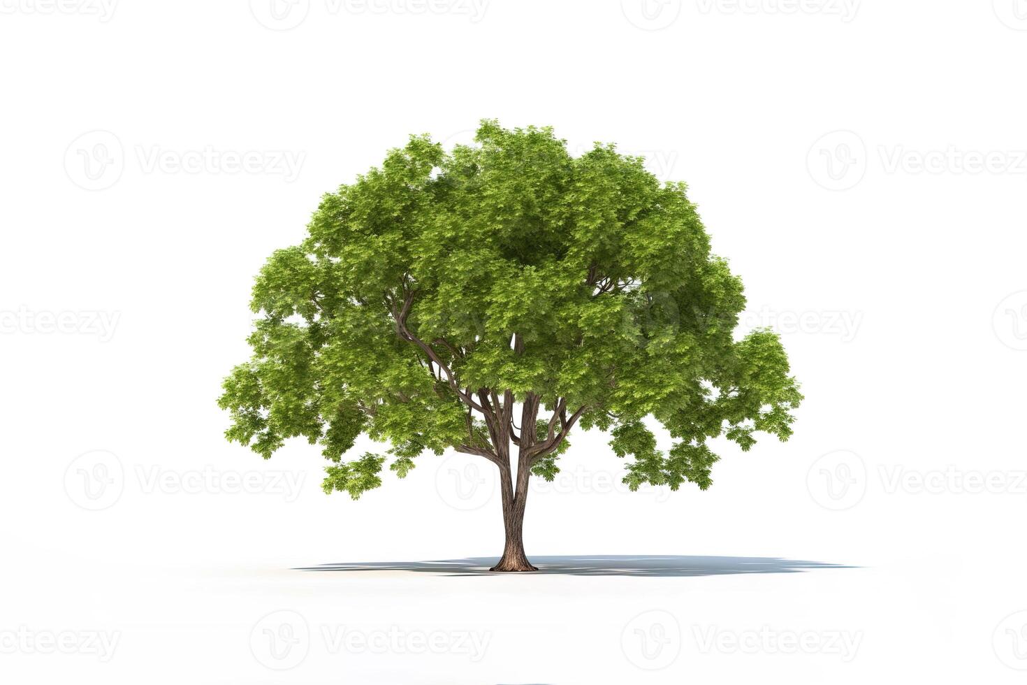 verde árbol aislado en blanco antecedentes. ai generado foto