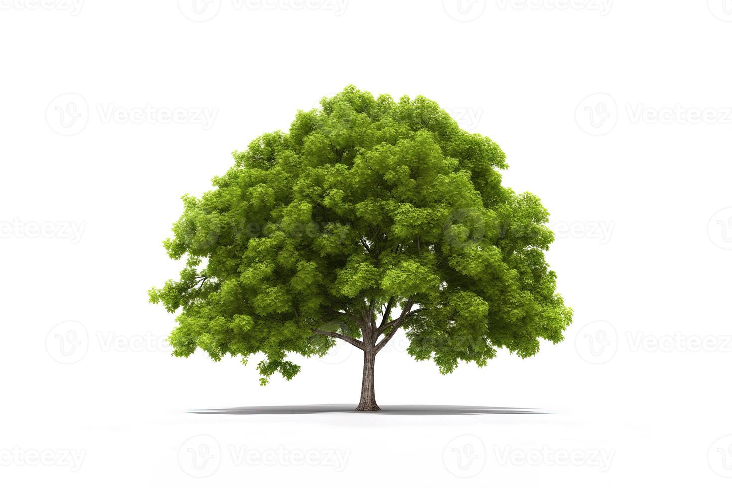 verde árbol aislado en blanco antecedentes. ai generado foto