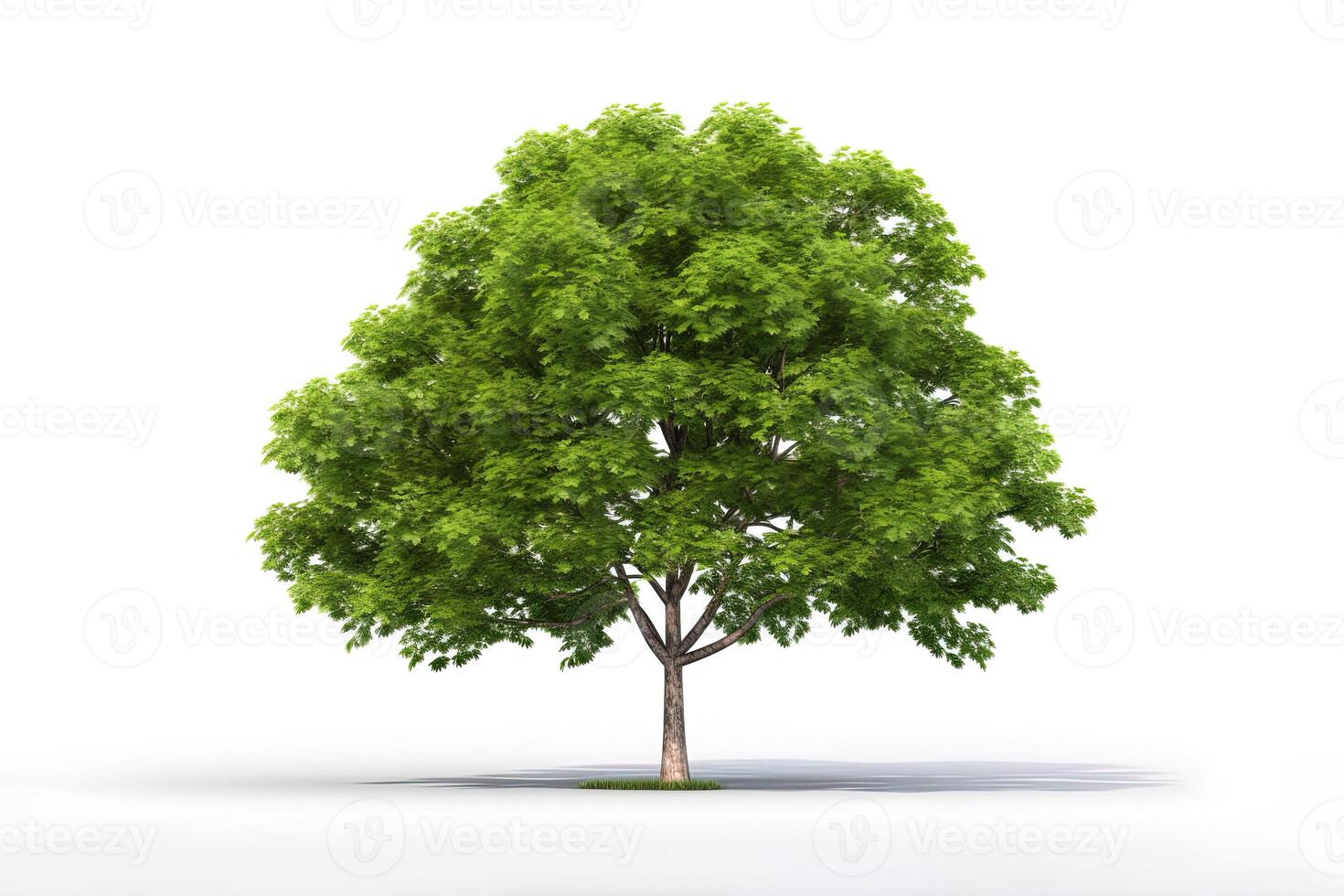 verde árbol aislado en blanco antecedentes. ai generado foto