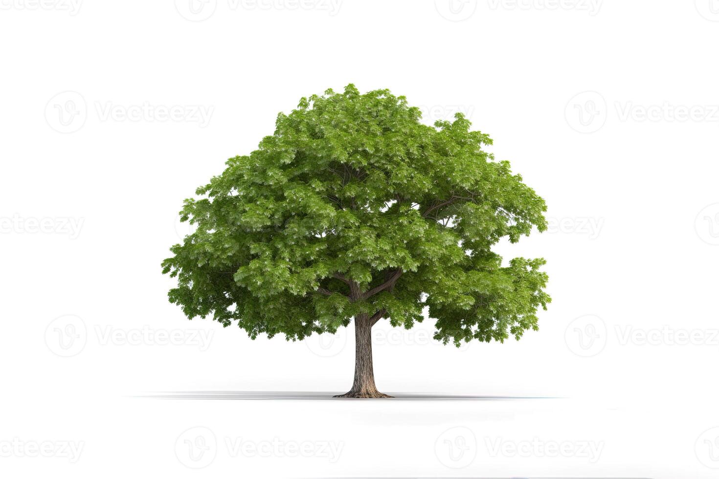 verde árbol aislado en blanco antecedentes. ai generado foto