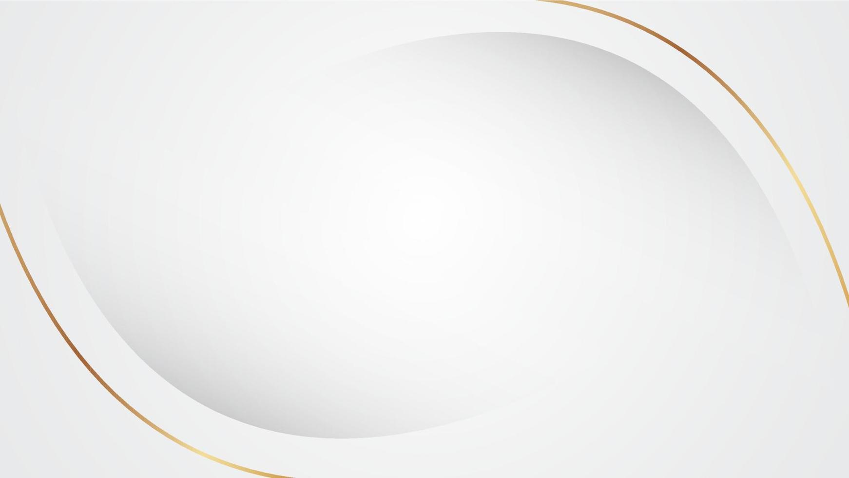 Abstract white and grey background in liquid and fluid style. There are gold lines to show a luxury design. Vector illustration template for web banner, business presentation.