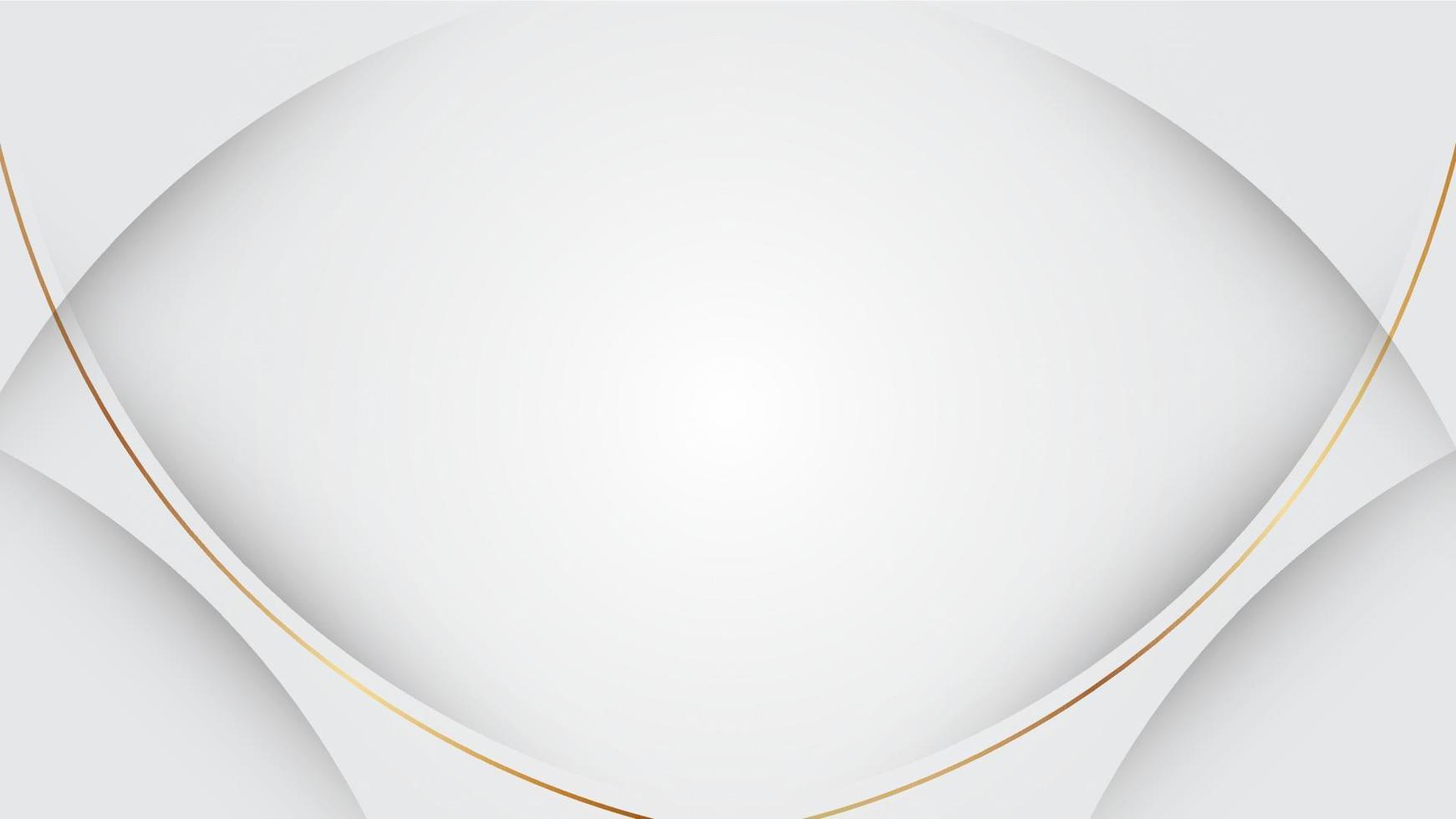 Abstract white and grey background in liquid and fluid style. There are gold lines to show a luxury design. Vector illustration template for web banner, business presentation.