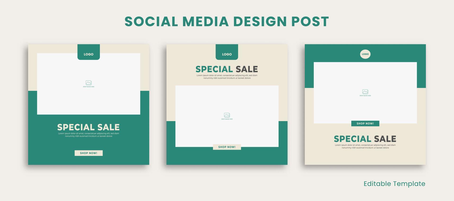 Set of 3 Editable Template Social Media Design Post with Rectangle Frame and Green Pastel Color Theme. Suitable for Post, Sale Banner, Promotion, Ads, Advertising, Fashion, Beauty, Furniture vector