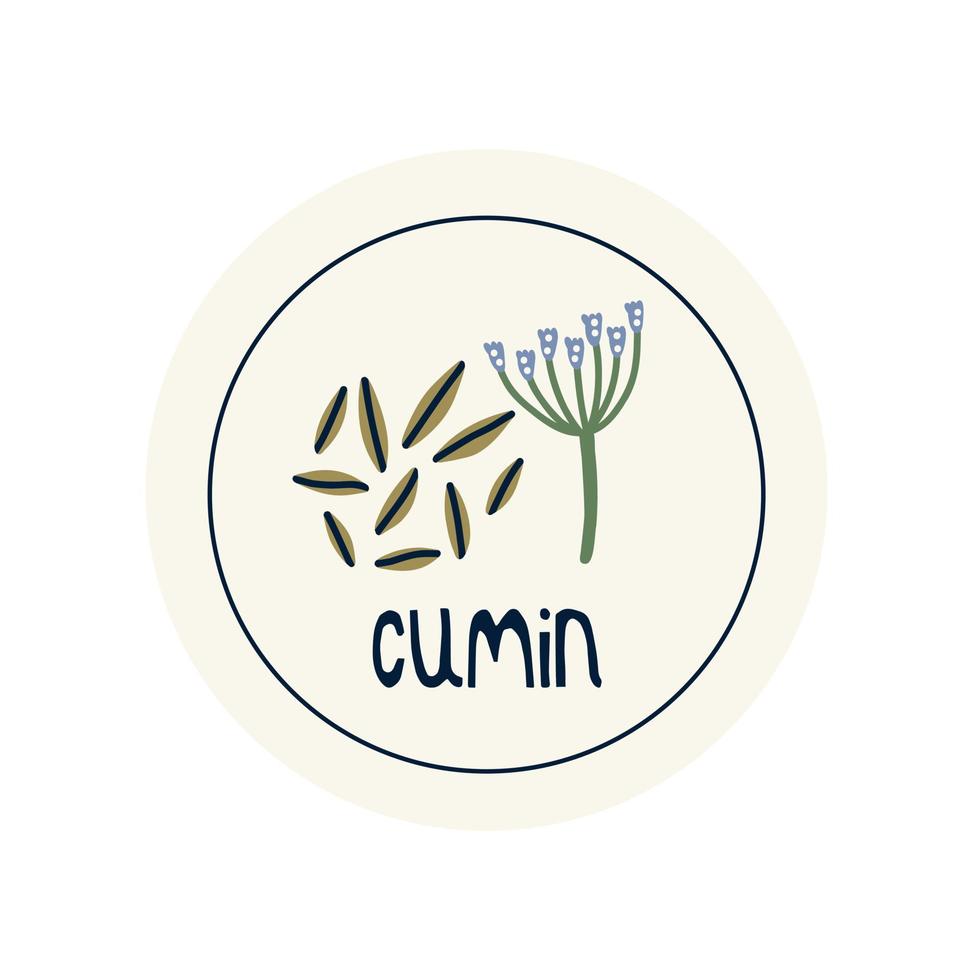 Hand Drawn circle illustrated sticker label spice herb cumin vector