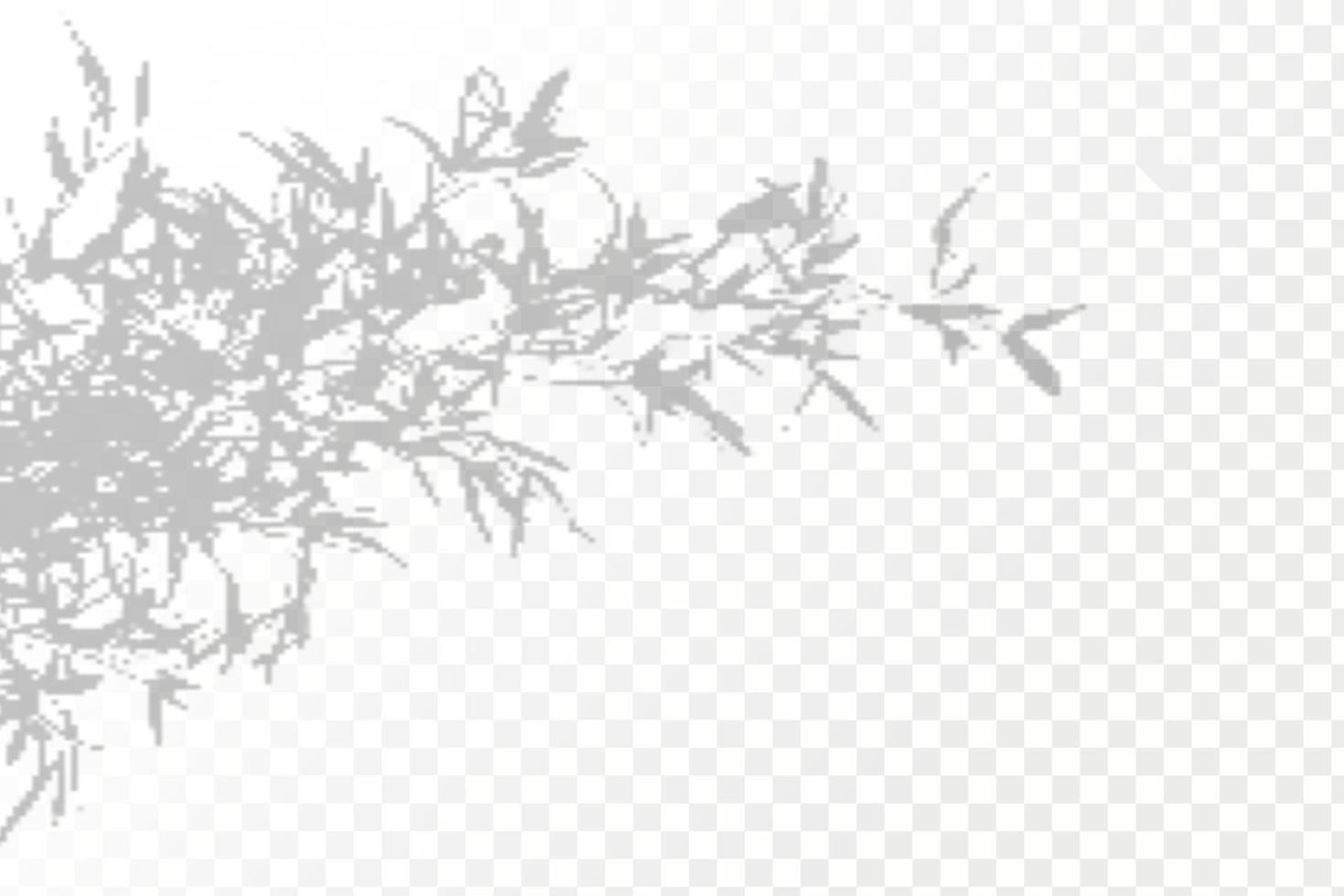 Realistic shadow tropical leaves and branches on transparent checkered background. The effect of overlaying shadows. Natural light layout. vector