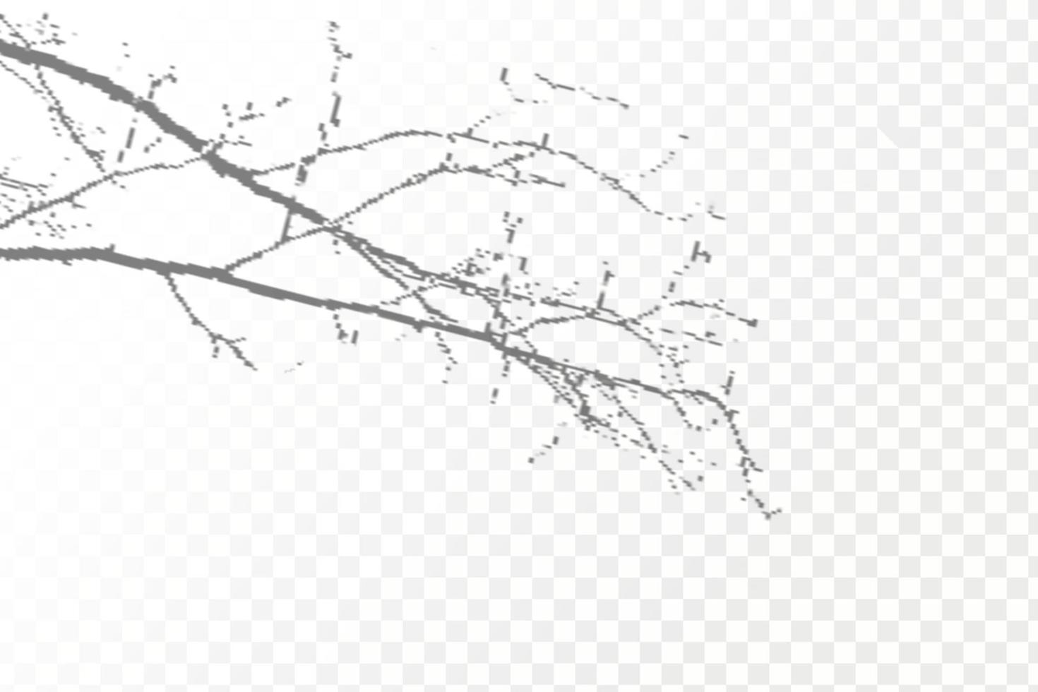Realistic shadow tropical leaves and branches on transparent checkered background. The effect of overlaying shadows. Natural light layout. vector
